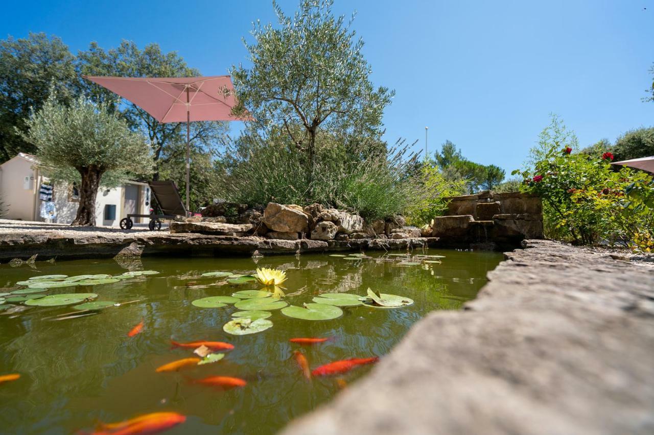 Mas la Chêneraie Lourmarin - Au calme, à 10 mn du centre ville à pied Extérieur photo